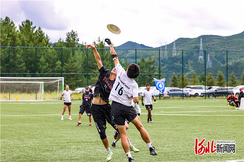 文化, 礼区通过不